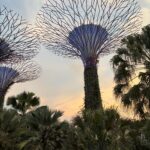 シンガポール一人旅